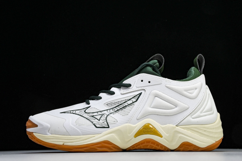 Mizuno Wave Momentum