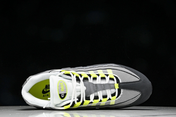 Nike Air Max 95 x Denham DD9519-001 