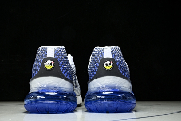 Nike Air Max Phoenix FZ5307-101 