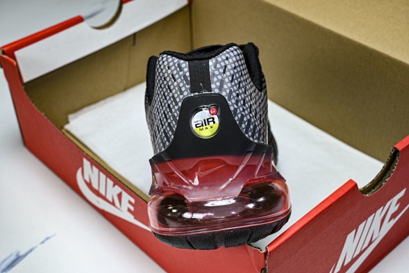 Nike Air Max Phoenix FZ5307-003 