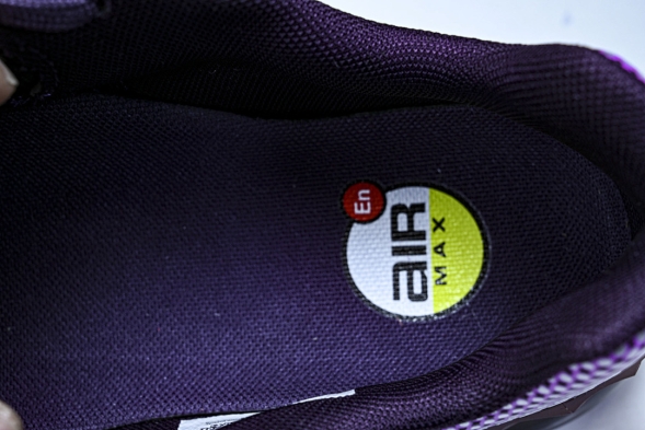 Nike Air Max Phoenix FZ5307-104 