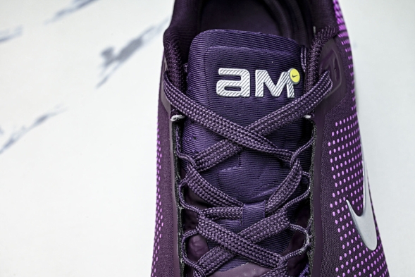 Nike Air Max Phoenix FZ5307-104 