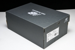 New Balance 1906 M1906AG 