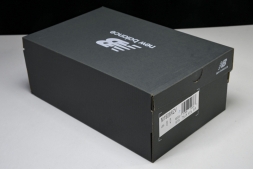 New Balance 1906 M1906RZV