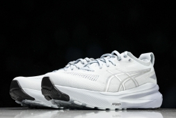 Asics Gel-kayano 31 1012B670-021