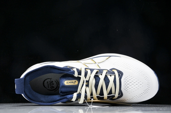 Asics Gel-kayano 31 1011B955-100 