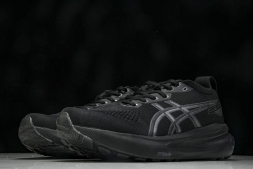 Asics Gel-kayano 31 1012B867-001