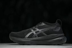 Asics Gel-kayano 31 1012B867-001