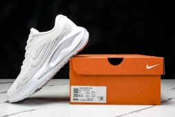 Nike Journey Run FJ7765 102