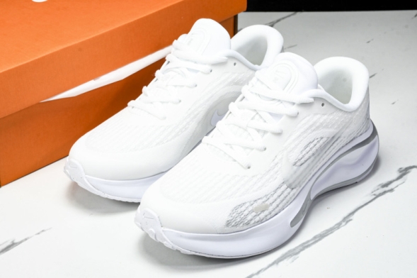 Nike Journey Run FJ7765 102 