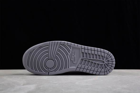 Nike Air Jordan 1 High OG True Blue DZ5485-410 