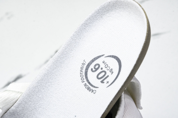 Asics Gel-kayano 31 1012B670-100 