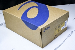 Asics Gel-kayano 31 1012B670-022