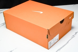 Nike Journey Run FN0228 103