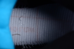 Nike Air Jordan 5 Retro Aqua DD0587-047