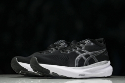 Asics Gel-kayano 31 1012B670-002