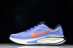 Nike Journey Run FN0228 400