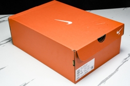 Nike Journey Run FN0228 400