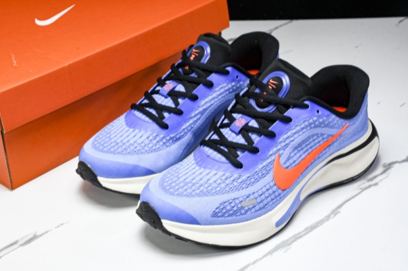 Nike Journey Run FN0228 400 