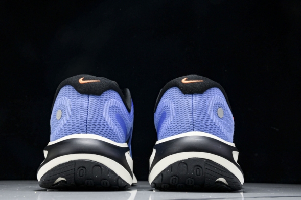 Nike Journey Run FN0228 400 