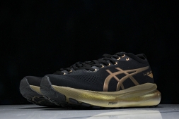 Asics Gel-kayano 31 1011C099-001