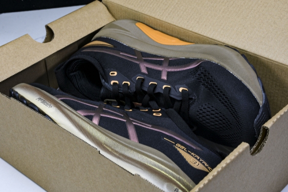 Asics Gel-kayano 31 1011C099-001 