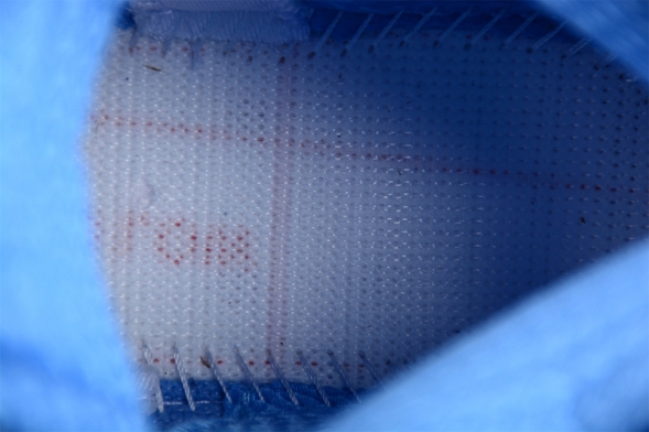 Nike Air Jordan 5 Concord DV1310-401 