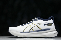 Asics Gel-kayano 31 1011B995-021