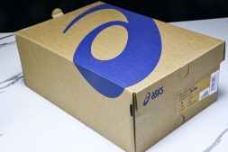 Asics Gel-kayano 31 1011B995-021