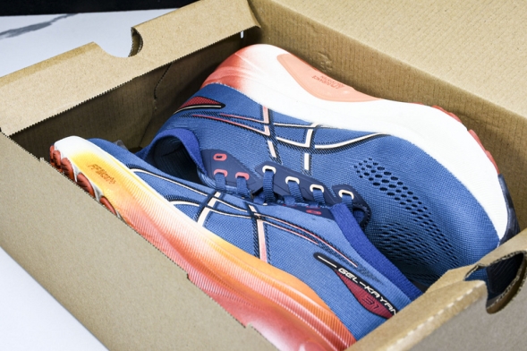 Asics Gel-kayano 31 1011B867-402 