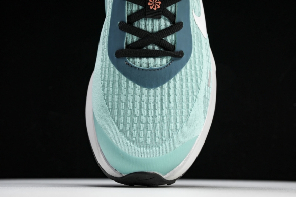 Nike Journey Run FN0228-300 