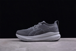 Asics Gel-kayano 31 1011B867-020