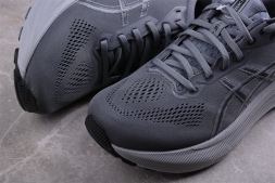 Asics Gel-kayano 31 1011B867-020