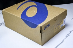 Asics Gel-kayano 31 1011B867-401