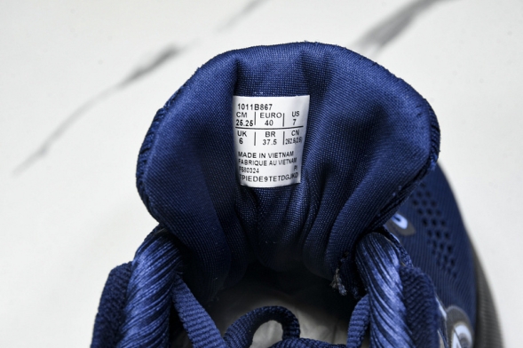 Asics Gel-kayano 31 1011B867-401 