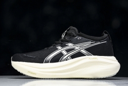 Asics Gel-kayano 31 1012B670-002