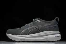 Asics Gel-kayano 31 1011B867-020