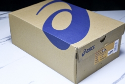 Asics Gel-kayano 31 1011B867-020