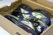 Mizuno Racer Trail SE D1GH241901 