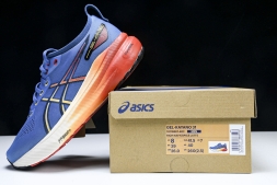Asics Gel-kayano 31 1011B867-402