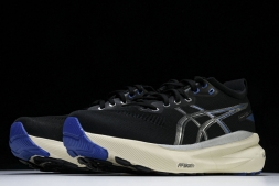 Asics Gel-kayano 31 1011B995-001