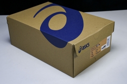 Asics Gel-kayano 31 1011B995-001