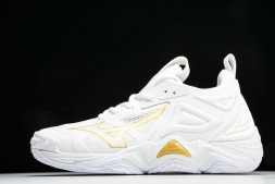 Mizuno Wave Momentum V1GA231245