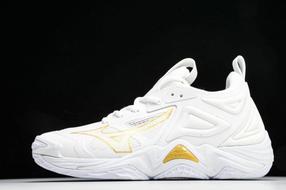 Mizuno Wave Momentum V1GA231245 