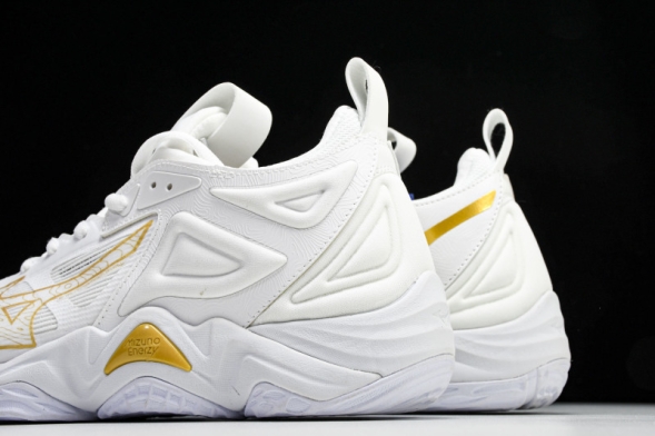 Mizuno Wave Momentum V1GA231245 