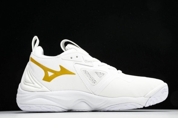 Mizuno Wave Momentum V1GA231245 