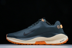 Nike ReactX Infinity RN 4 Gore-TEX FB2204-300