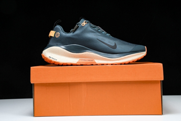 Nike ReactX Infinity RN 4 Gore-TEX FB2204-300 