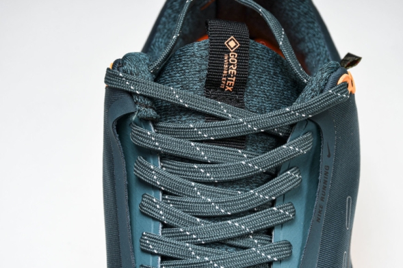 Nike ReactX Infinity RN 4 Gore-TEX FB2204-300 