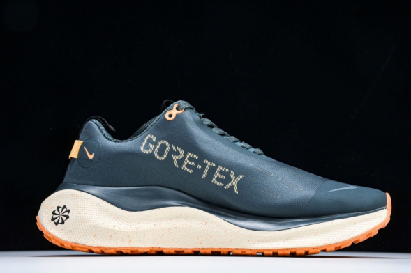 Nike ReactX Infinity RN 4 Gore-TEX FB2204-300 